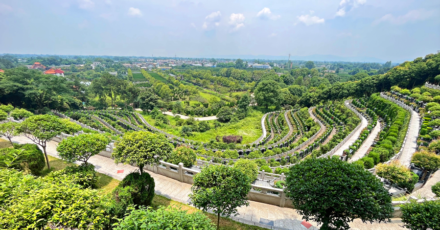 生命栖息地